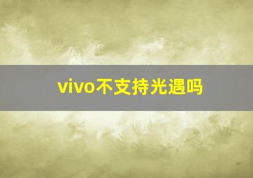 vivo不支持光遇吗