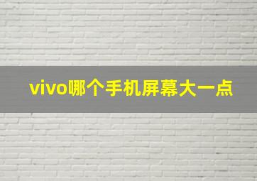 vivo哪个手机屏幕大一点