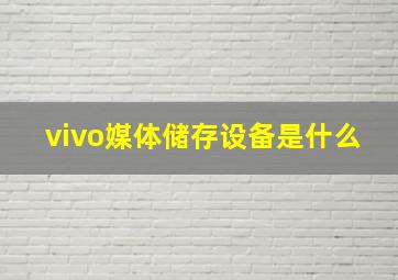 vivo媒体储存设备是什么