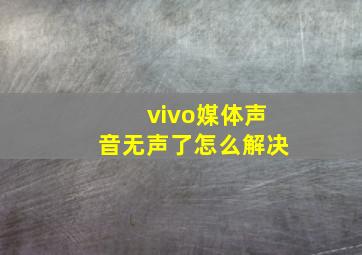 vivo媒体声音无声了怎么解决