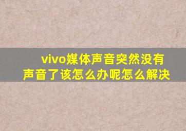 vivo媒体声音突然没有声音了该怎么办呢怎么解决