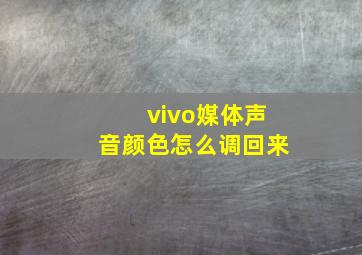 vivo媒体声音颜色怎么调回来