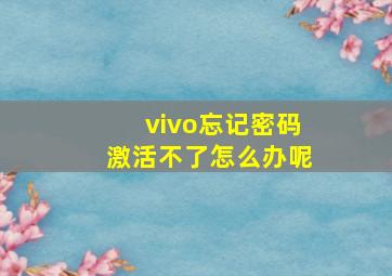 vivo忘记密码激活不了怎么办呢