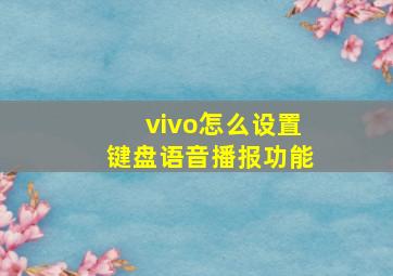 vivo怎么设置键盘语音播报功能