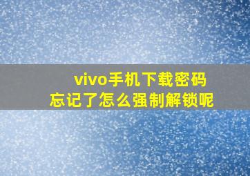 vivo手机下载密码忘记了怎么强制解锁呢