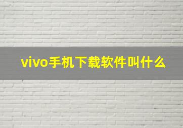 vivo手机下载软件叫什么