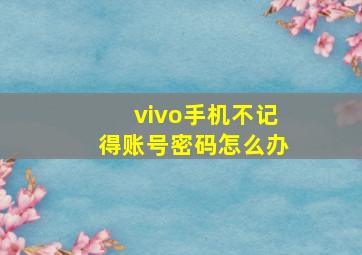 vivo手机不记得账号密码怎么办