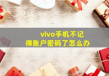 vivo手机不记得账户密码了怎么办