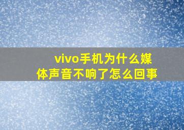 vivo手机为什么媒体声音不响了怎么回事