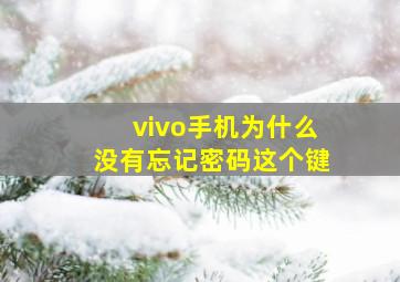 vivo手机为什么没有忘记密码这个键