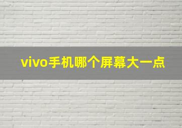 vivo手机哪个屏幕大一点