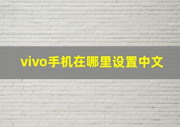 vivo手机在哪里设置中文