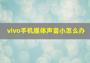 vivo手机媒体声音小怎么办