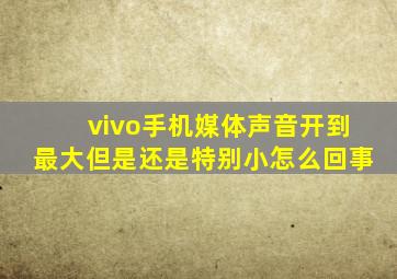 vivo手机媒体声音开到最大但是还是特别小怎么回事