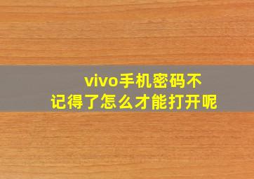 vivo手机密码不记得了怎么才能打开呢