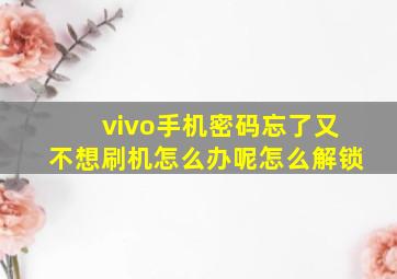 vivo手机密码忘了又不想刷机怎么办呢怎么解锁