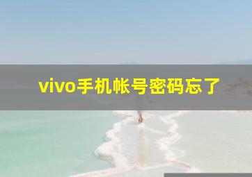 vivo手机帐号密码忘了