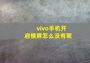 vivo手机开启横屏怎么没有呢