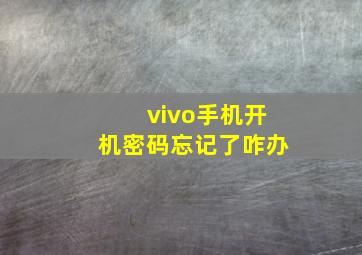 vivo手机开机密码忘记了咋办