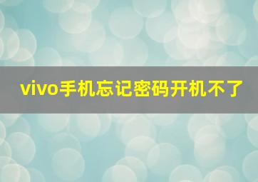 vivo手机忘记密码开机不了