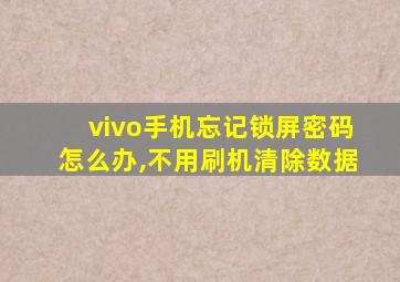 vivo手机忘记锁屏密码怎么办,不用刷机清除数据