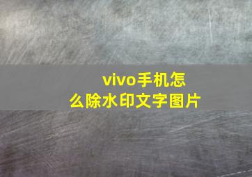 vivo手机怎么除水印文字图片