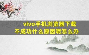 vivo手机浏览器下载不成功什么原因呢怎么办