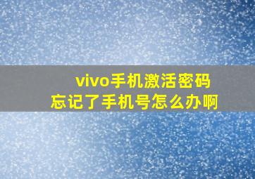 vivo手机激活密码忘记了手机号怎么办啊