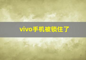 vivo手机被锁住了