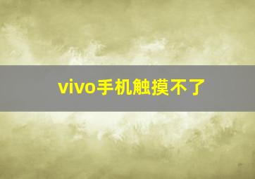 vivo手机触摸不了