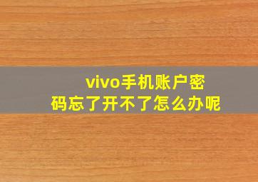 vivo手机账户密码忘了开不了怎么办呢