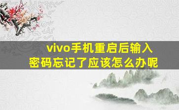 vivo手机重启后输入密码忘记了应该怎么办呢