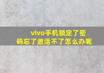 vivo手机锁定了密码忘了激活不了怎么办呢