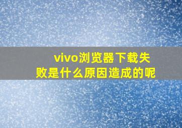 vivo浏览器下载失败是什么原因造成的呢