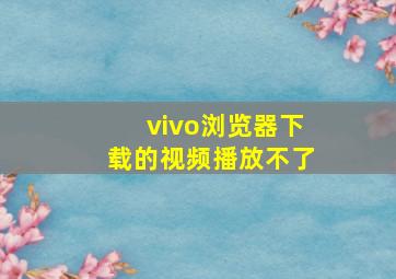 vivo浏览器下载的视频播放不了