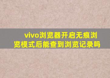 vivo浏览器开启无痕浏览模式后能查到浏览记录吗