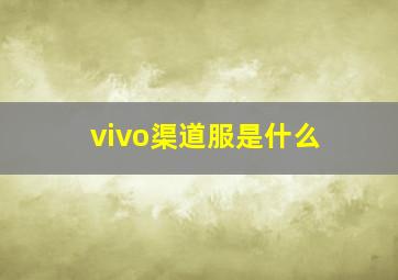 vivo渠道服是什么