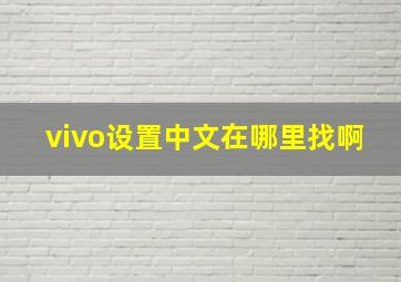 vivo设置中文在哪里找啊