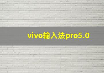 vivo输入法pro5.0