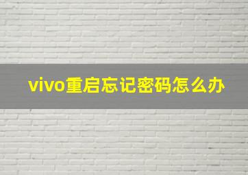 vivo重启忘记密码怎么办