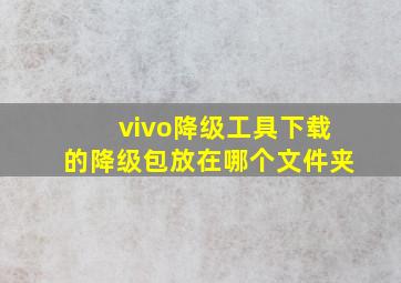 vivo降级工具下载的降级包放在哪个文件夹