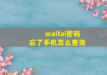 waifai密码忘了手机怎么查询