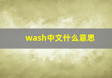 wash中文什么意思