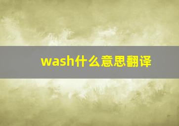 wash什么意思翻译