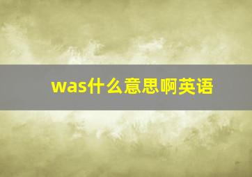 was什么意思啊英语