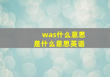 was什么意思是什么意思英语