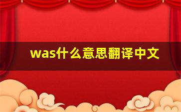 was什么意思翻译中文