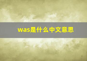 was是什么中文意思