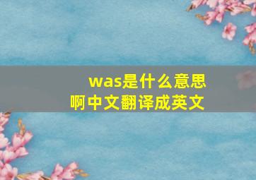 was是什么意思啊中文翻译成英文