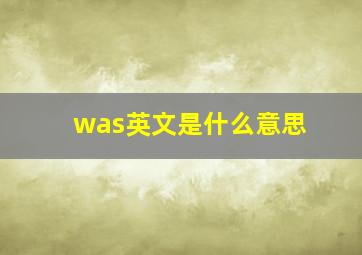 was英文是什么意思